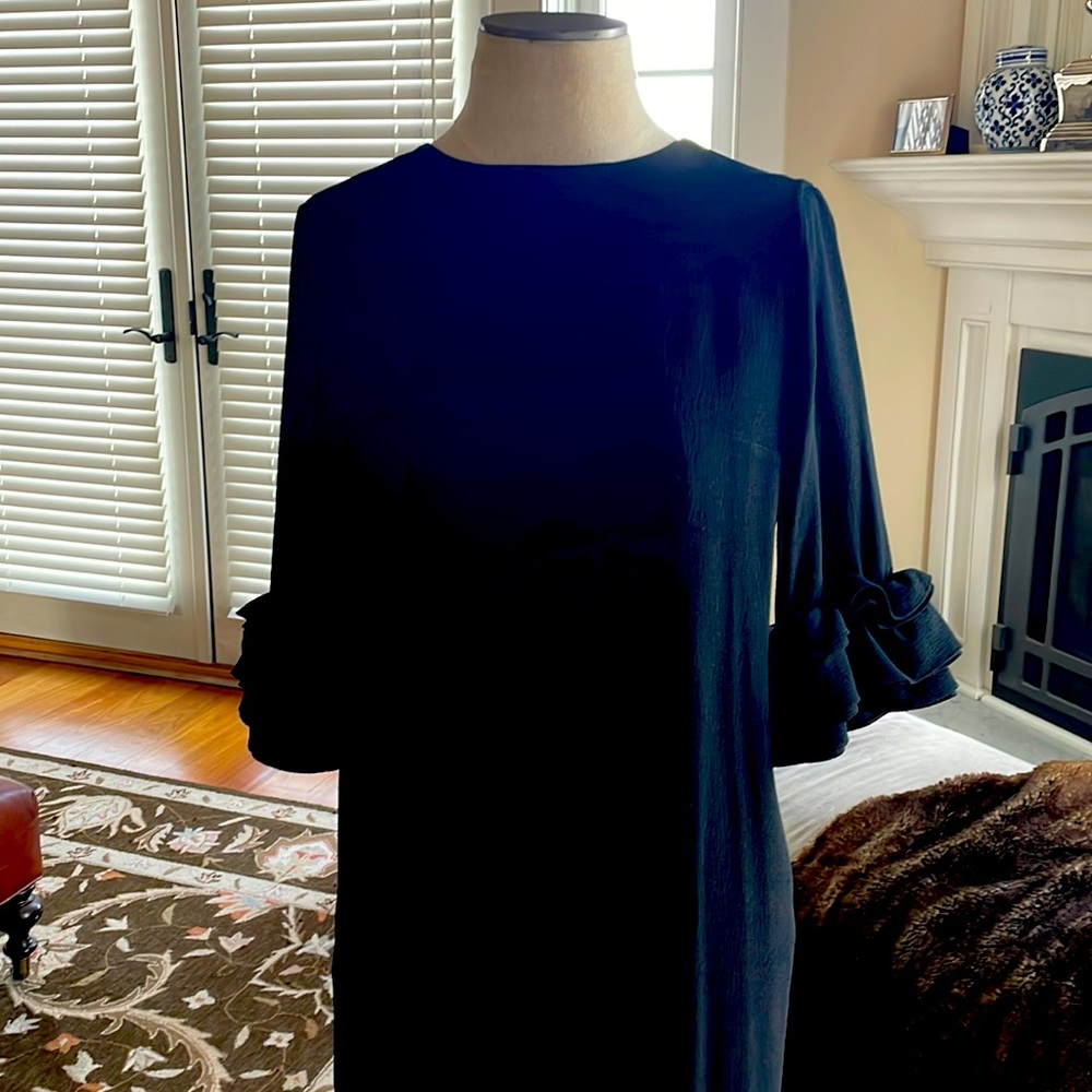 Club Monaco shift dress with ruffled sleeves